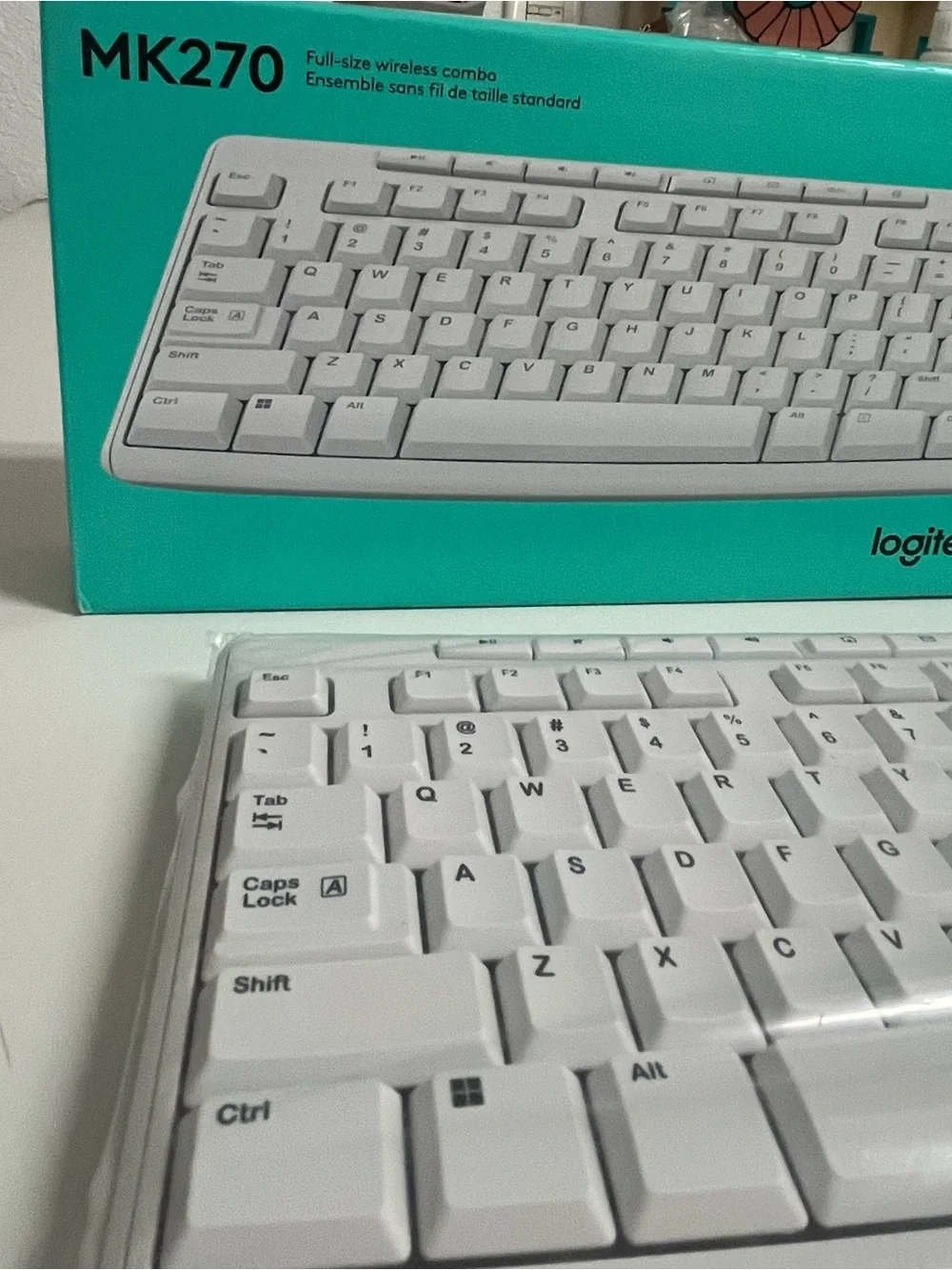 Office peripherals (mouse & keyboard)